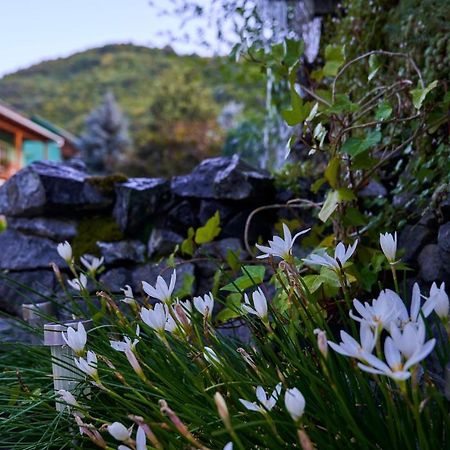 伯伊莱海尔库拉内 魅力旅馆酒店 外观 照片